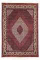 Bidjar Dywan 236x172cm - Dywan perski