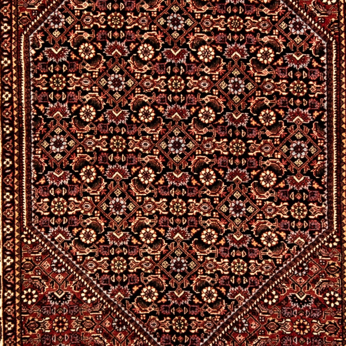 Biegacz Dywan perski - Bijar - 303 x 84 cm - wielokolorowy