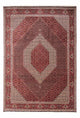 Bidjar - Takab Dywan 250x353cm - Dywan perski