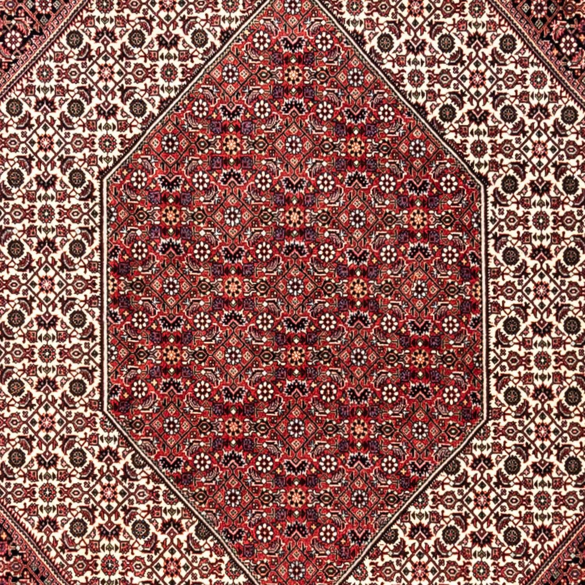 Perski dywan - Bijar - Royal - 353 x 250 cm - czerwony