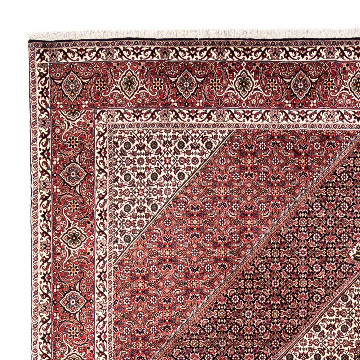 Bidjar - Takab Dywan 250x353cm - Dywan perski