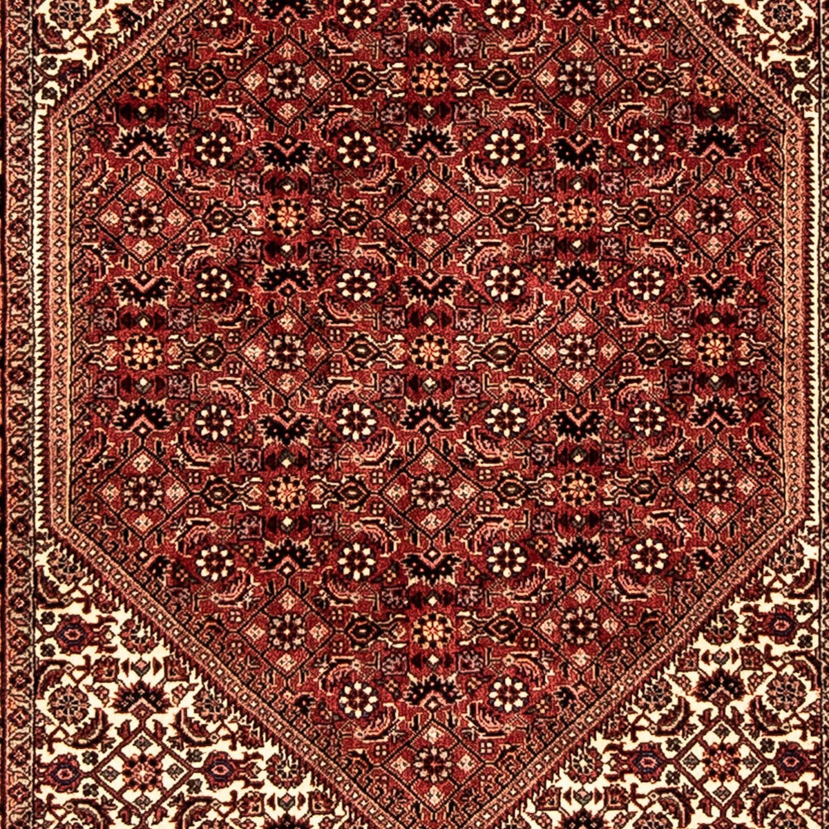 Biegacz Dywan perski - Bijar - 281 x 80 cm - wielokolorowy