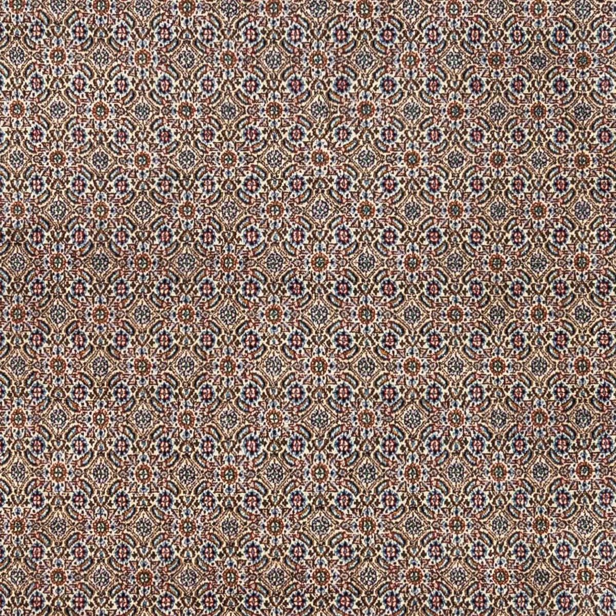 Dywan perski - Klasyczny - 334 x 248 cm - beżowy