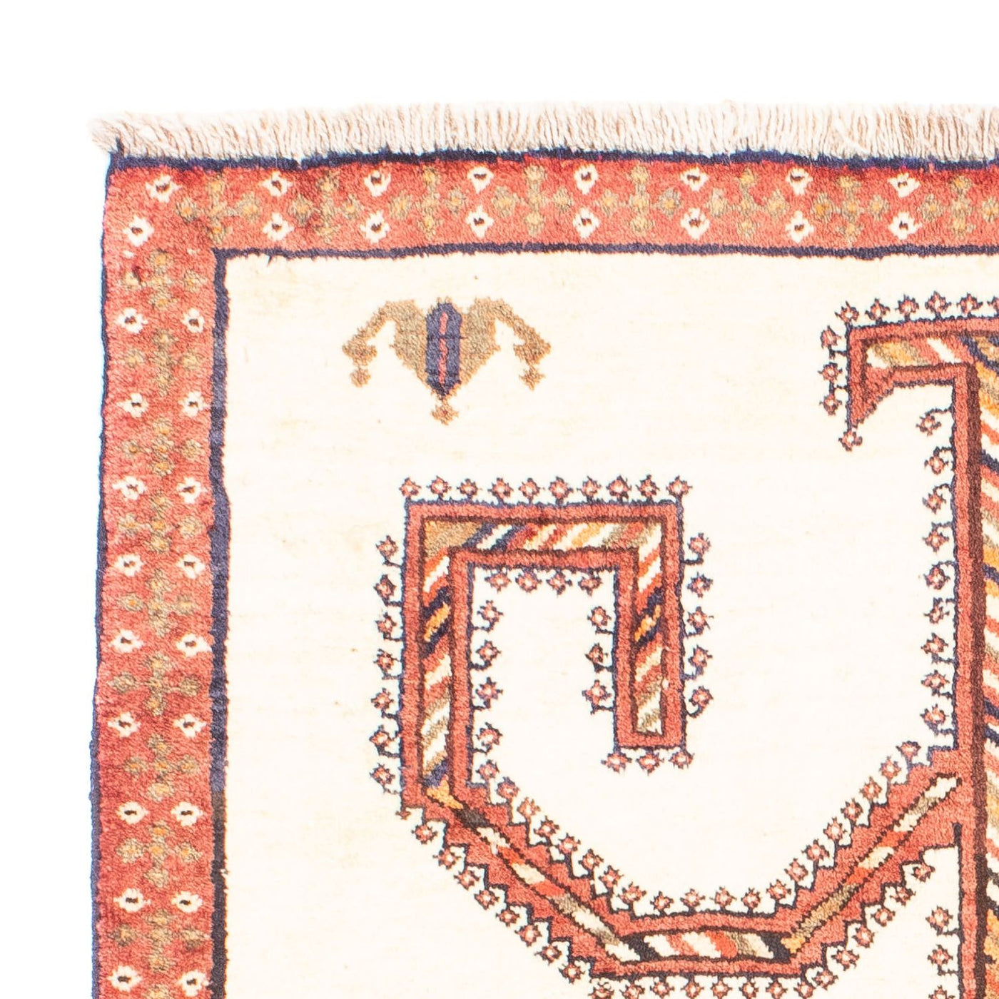Qashqai Dywan 152x110cm - Dywan perski