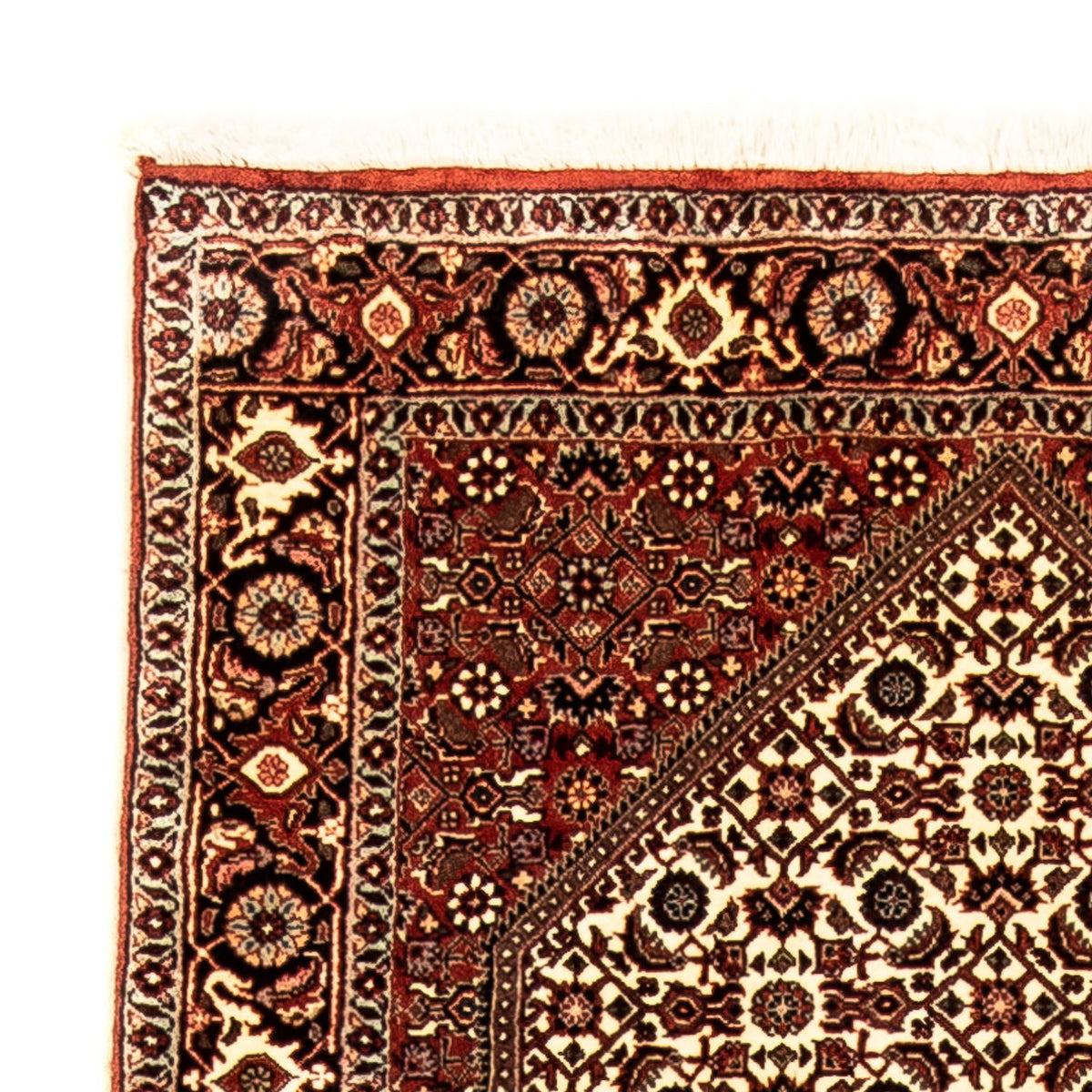 Biegacz Dywan perski - Bijar - 289 x 86 cm - wielokolorowy