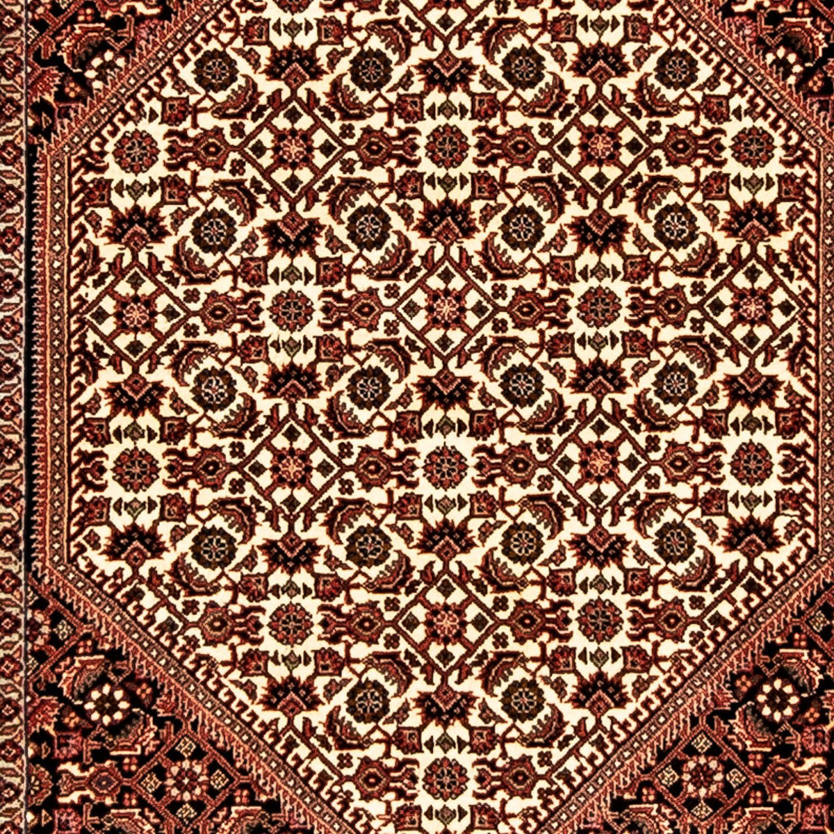 Biegacz Dywan perski - Bijar - 283 x 80 cm - wielokolorowy