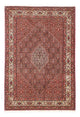 Bidjar Dywan 171x246cm - Dywan perski