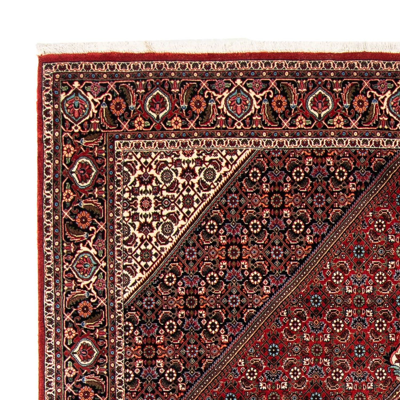 Bidjar Dywan 258x169cm - Dywan perski