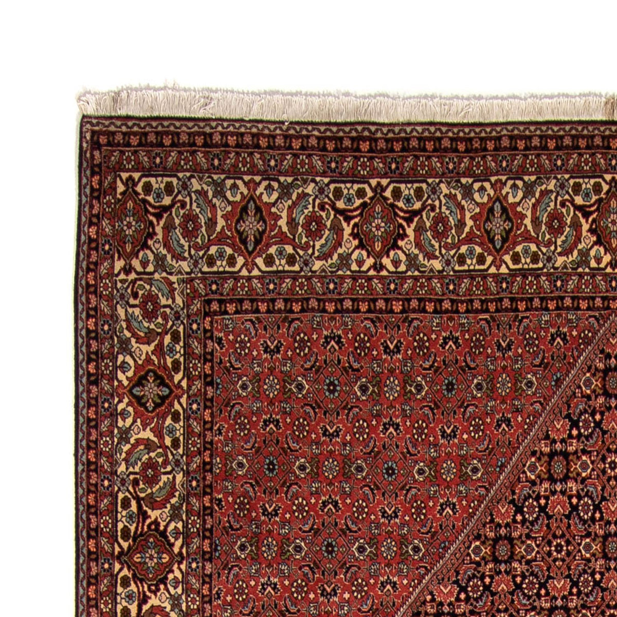 Bidjar Dywan 249x350cm - Dywan perski