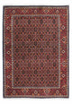 Bidjar - Zanjan Dywan 200x141cm - Dywan perski