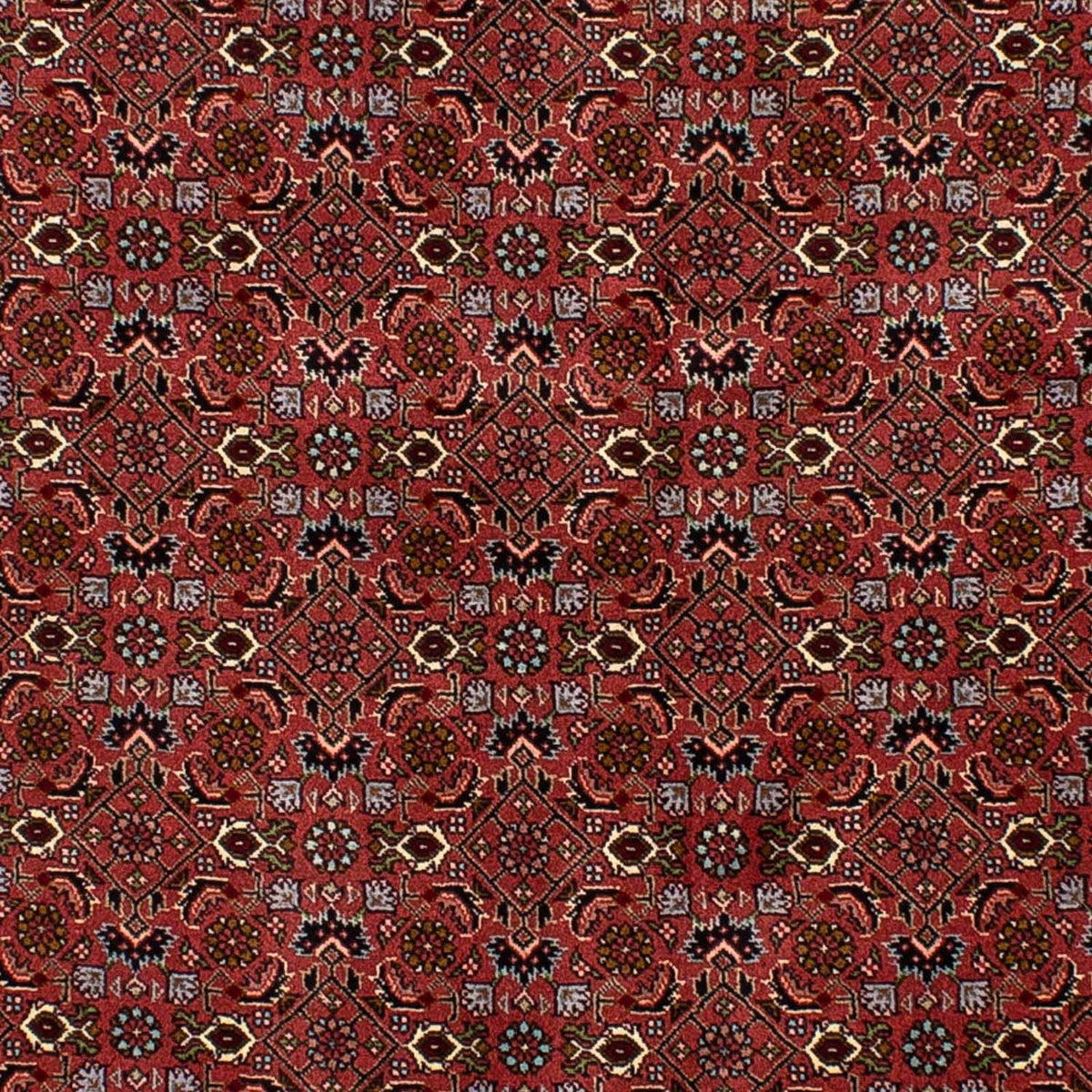 Dywan perski - Bijar - 205 x 136 cm - ciemna czerwień