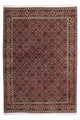 Bidjar - Zanjan Dywan 205x141cm - Dywan perski