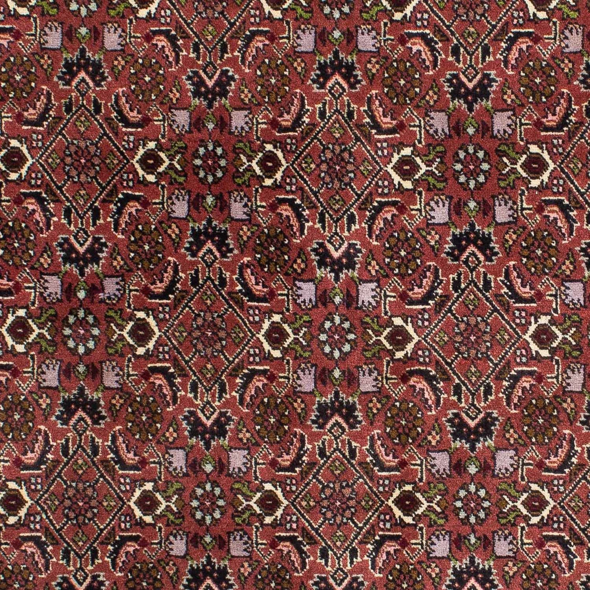 Dywan perski - Bijar - 208 x 139 cm - czerwony