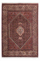 Bidjar - Zanjan Dywan 206x136cm - Dywan perski