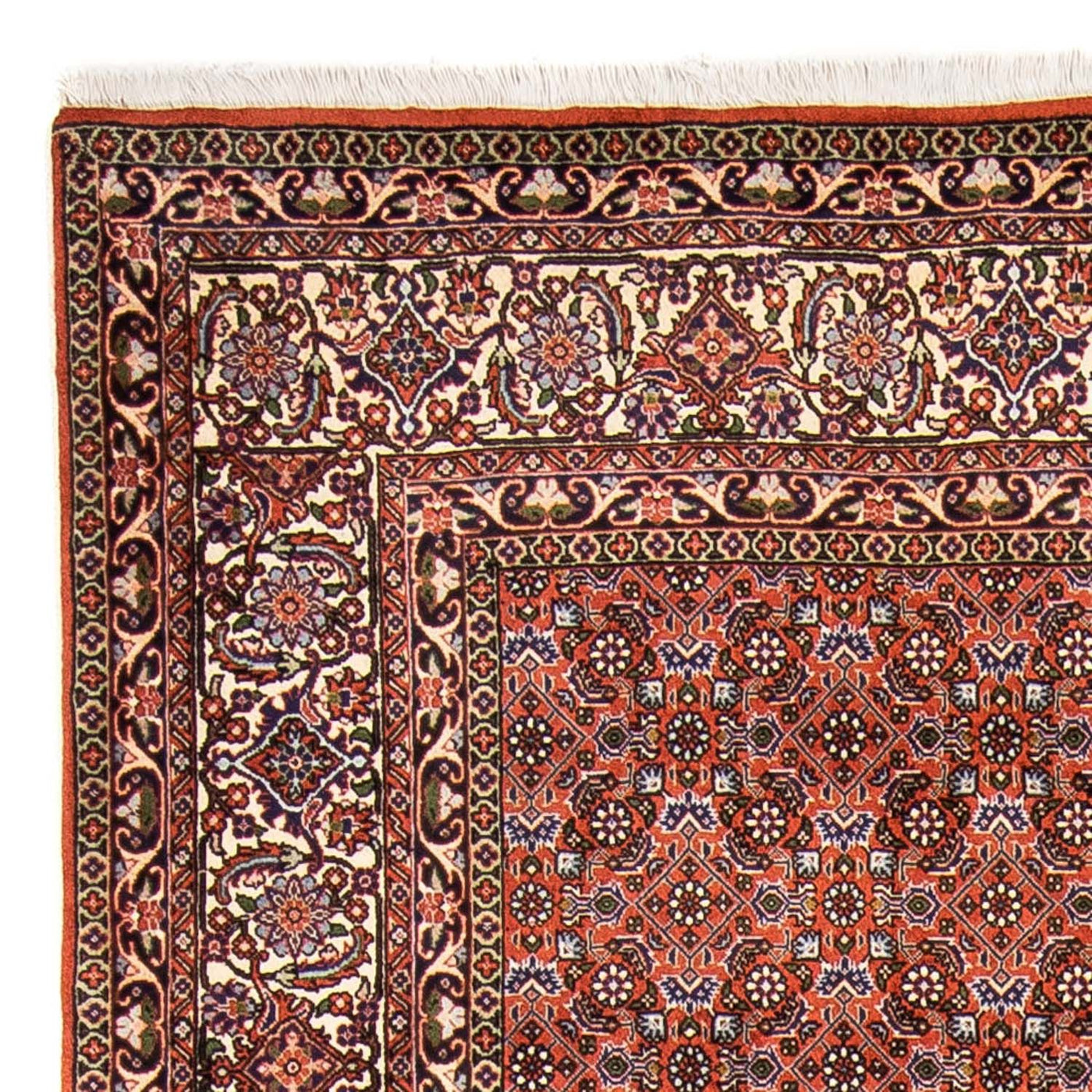 Bidjar Dywan 237x168cm - Dywan perski
