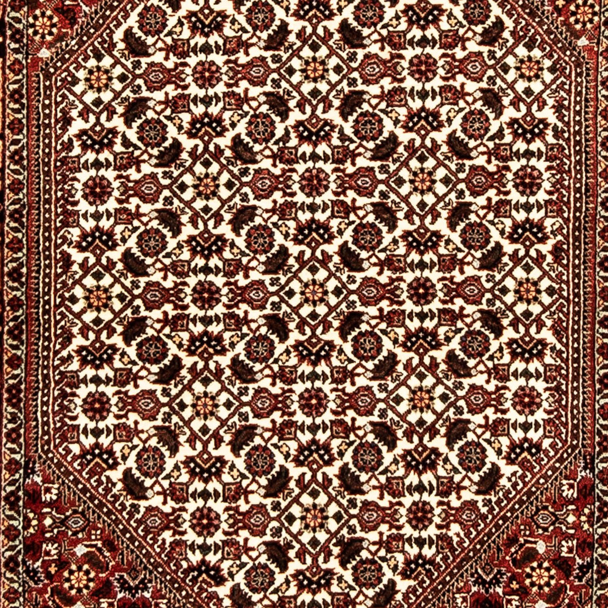 Biegacz Dywan perski - Bijar - 280 x 83 cm - wielokolorowy