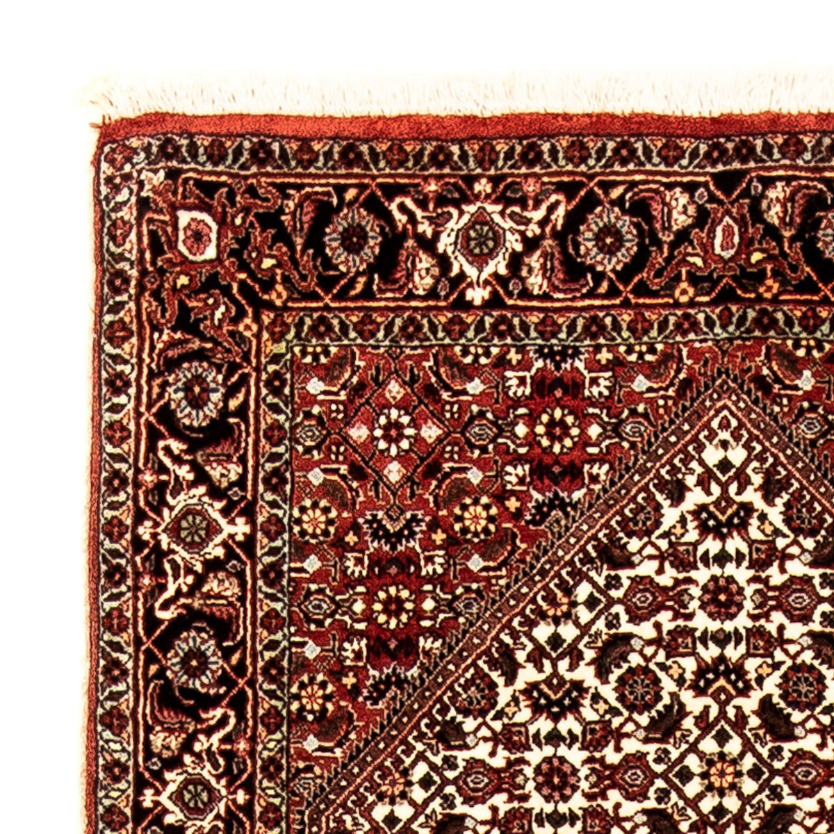 Biegacz Dywan perski - Bijar - 280 x 83 cm - wielokolorowy