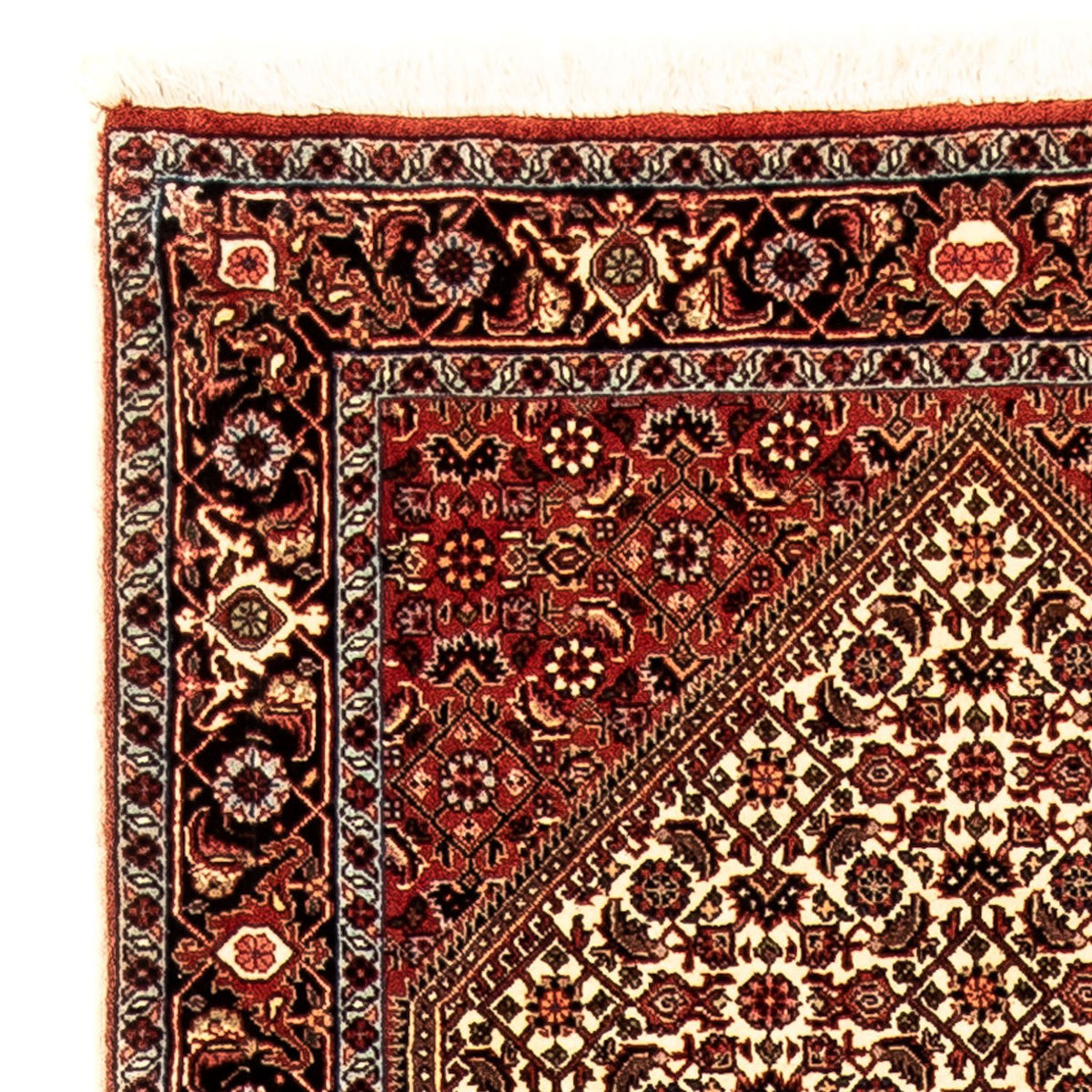 Biegacz Dywan perski - Bijar - 297 x 84 cm - wielokolorowy