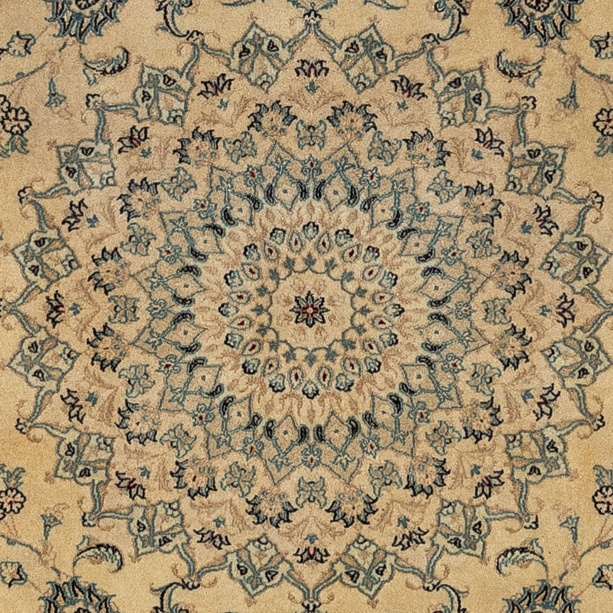 Dywan perski - Nain - Królewski - 344 x 250 cm - jasnobrązowy