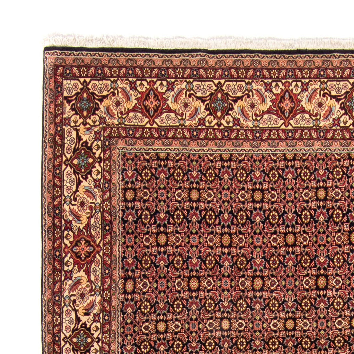 Bidjar Dywan 254x343cm - Dywan perski