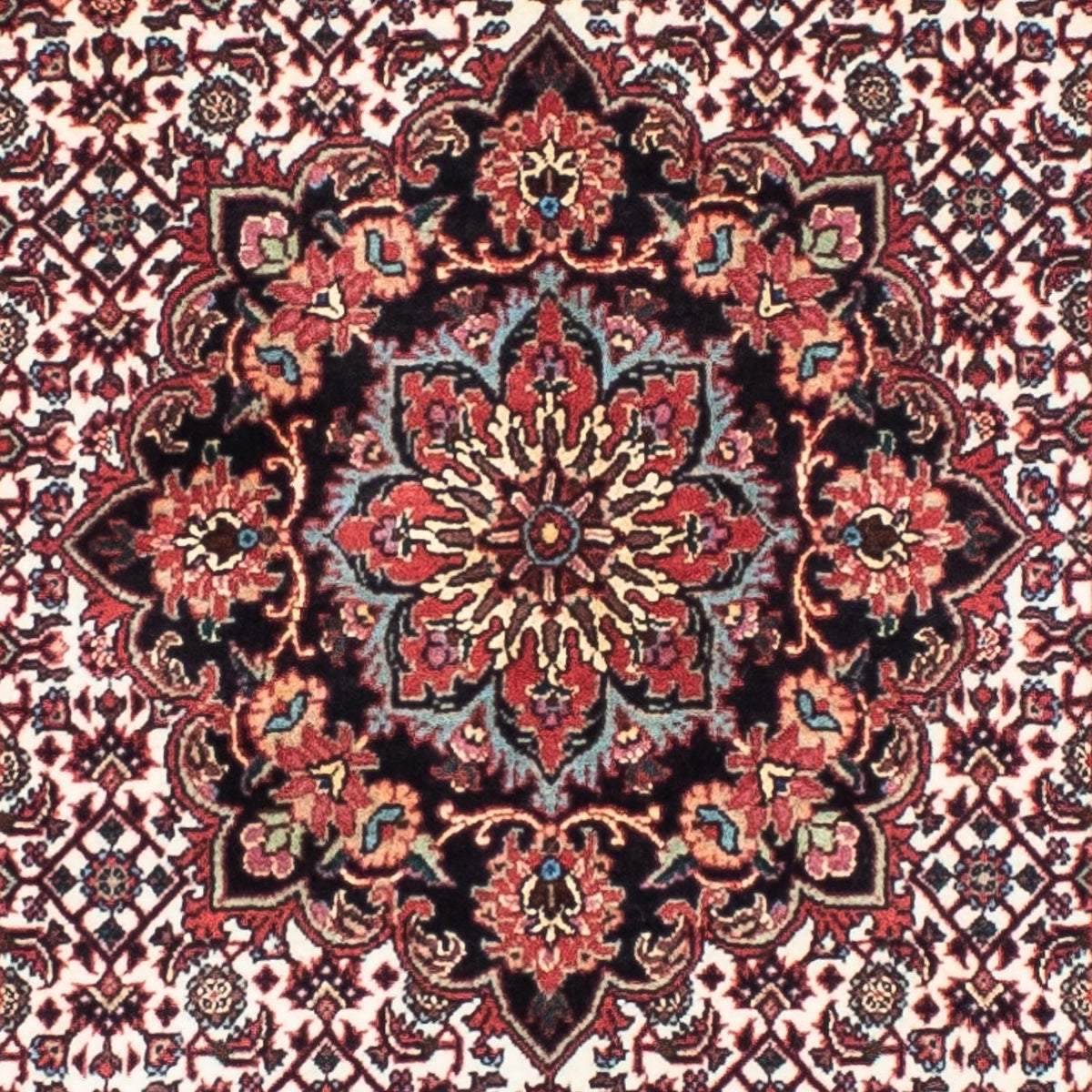 Biegacz Dywan perski - Bijar - 240 x 70 cm - beżowy