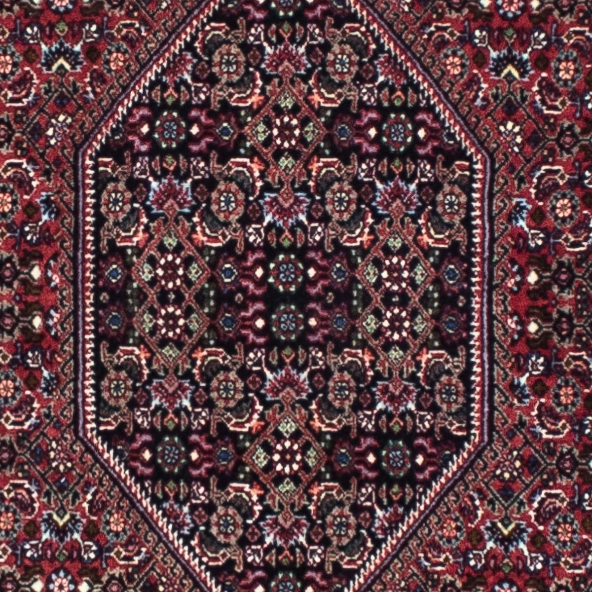 Biegacz Dywan perski - Bijar - 253 x 72 cm - rdza