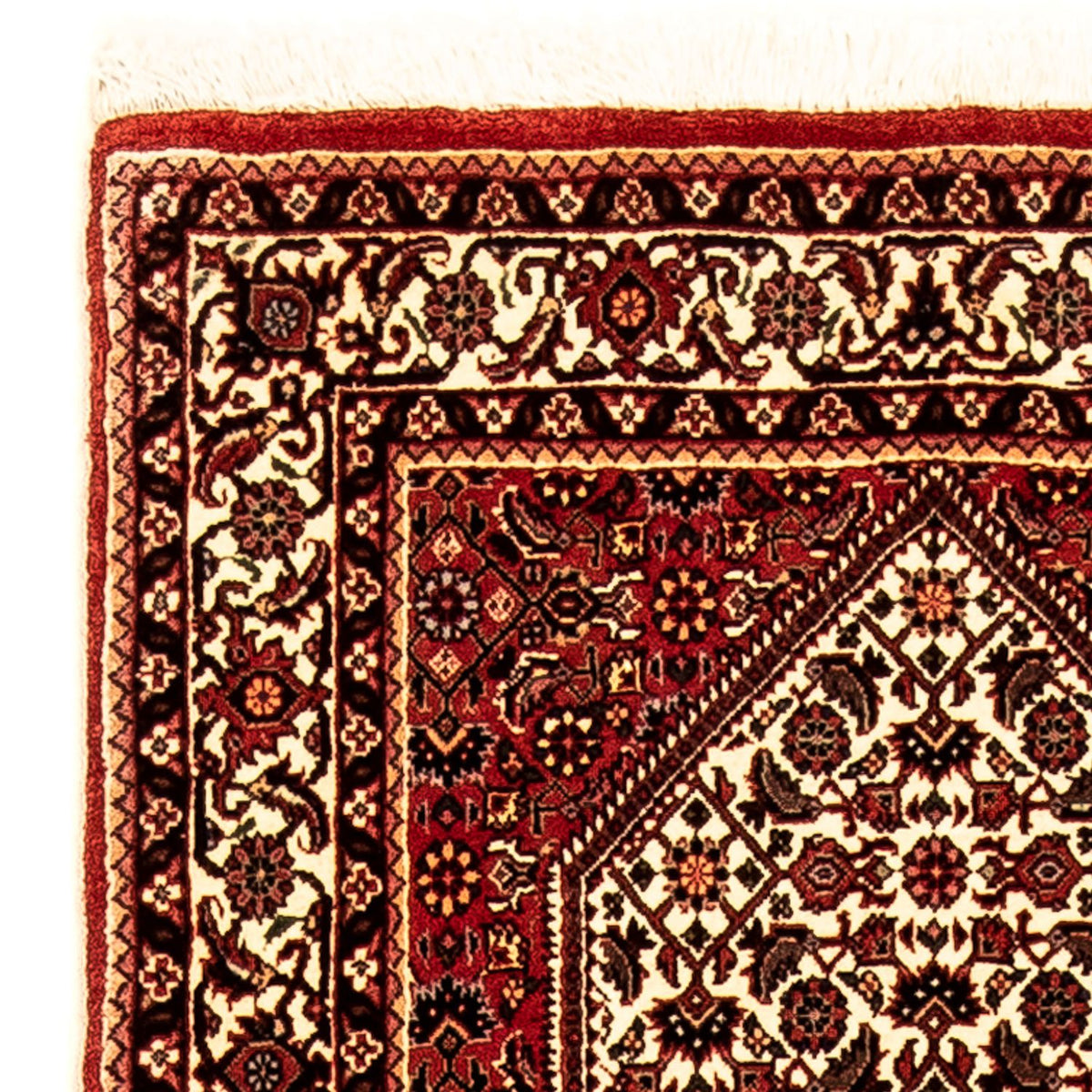 Biegacz Dywan perski - Bijar - 247 x 73 cm - wielokolorowy