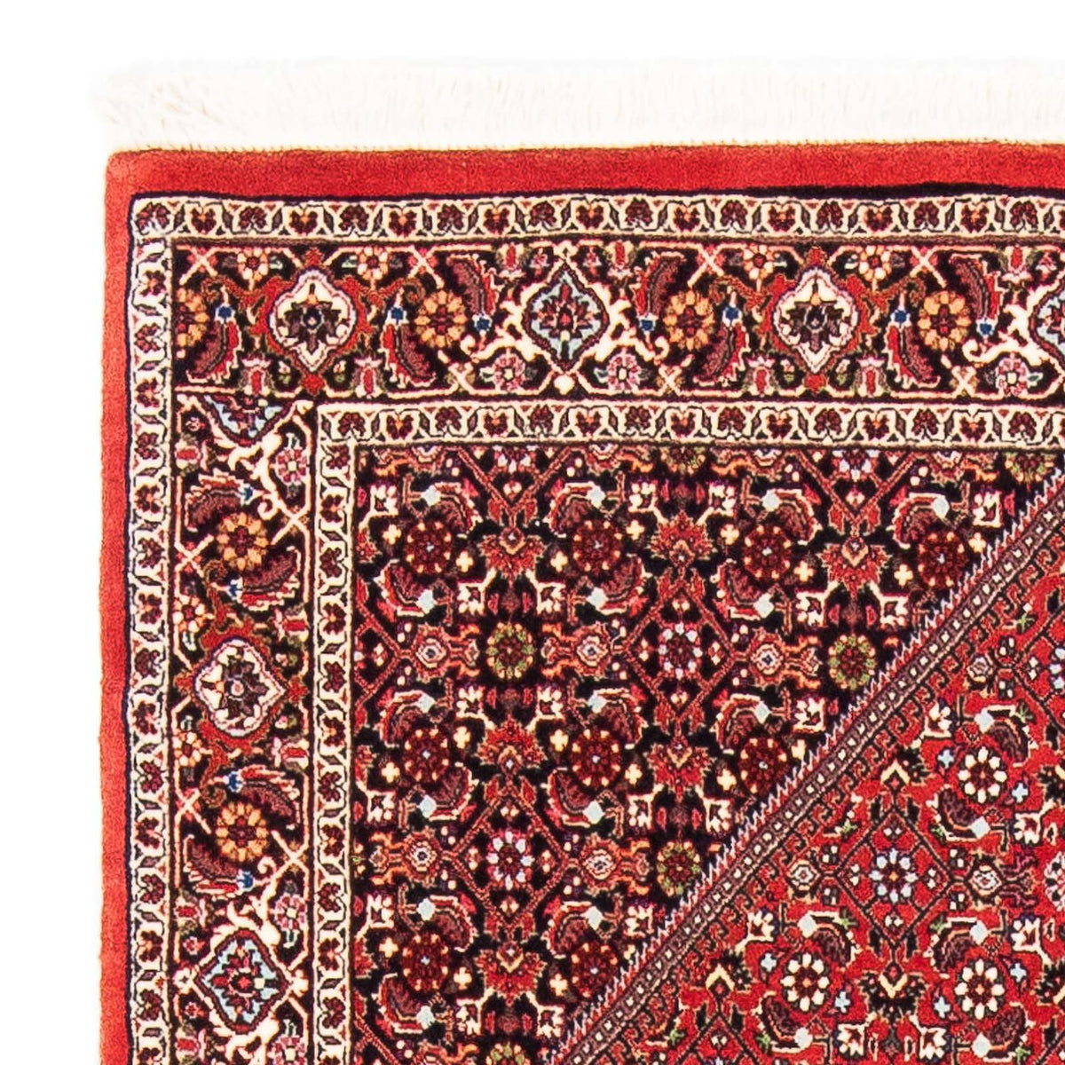 Bidjar Dywan 110x175cm - Dywan perski
