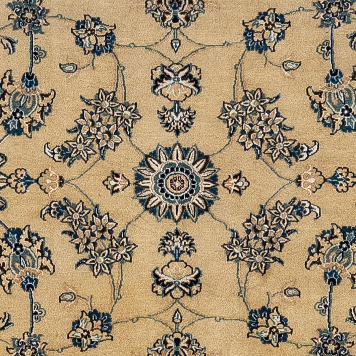 Dywan perski - Nain - Królewski - 343 x 247 cm - jasnobrązowy