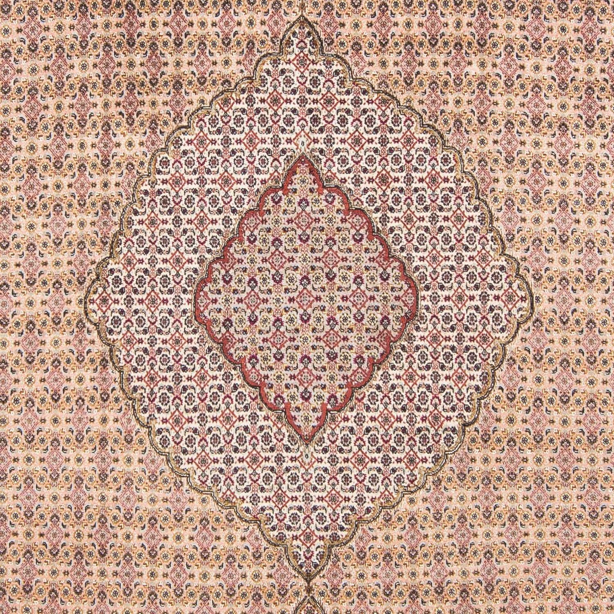 Dywan perski - Tabriz - 288 x 197 cm - jasnobrązowy