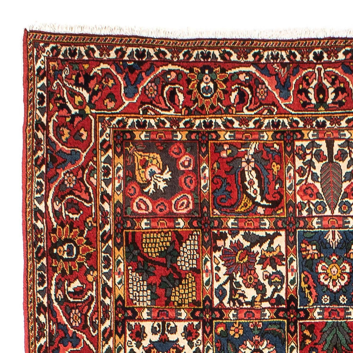 Perski dywan - Nomadyczny - 246 x 161 cm - wielokolorowy