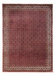 Bidjar - Takab Dywan 340x252cm - Dywan perski