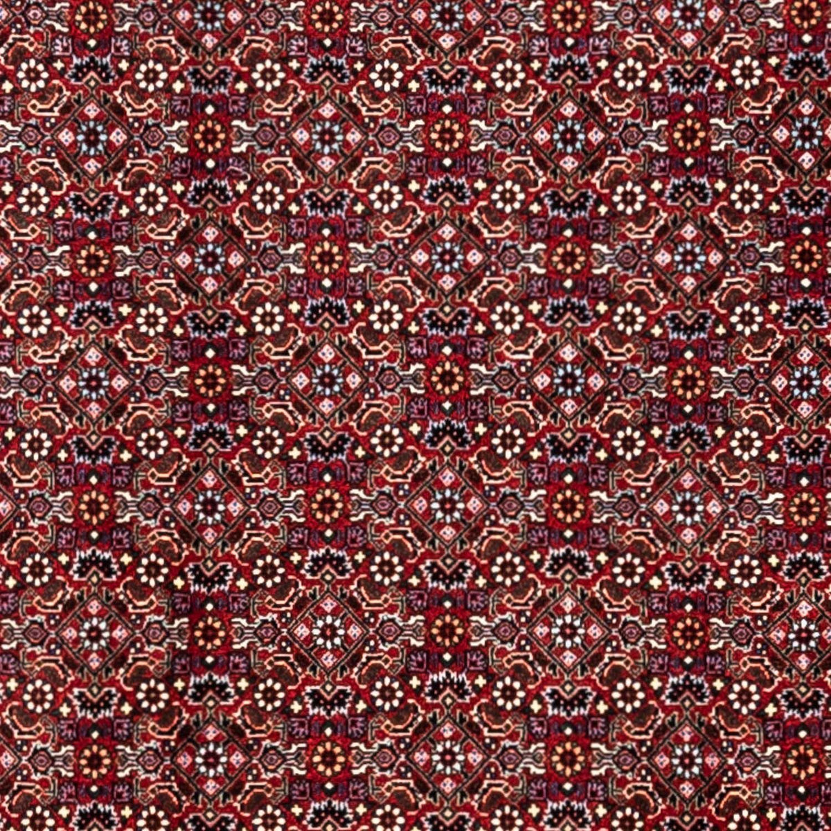 Perski dywan - Bijar - Royal - 340 x 252 cm - czerwony