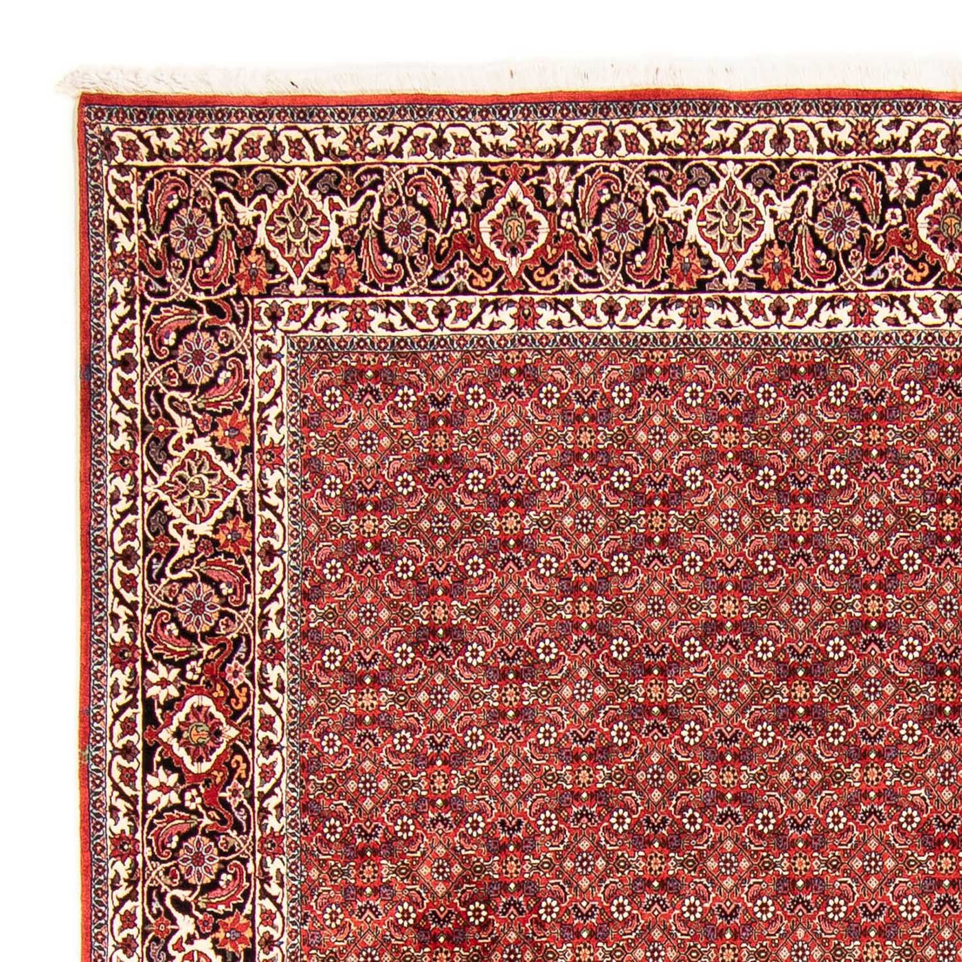 Bidjar Dywan 290x250cm - Dywan perski
