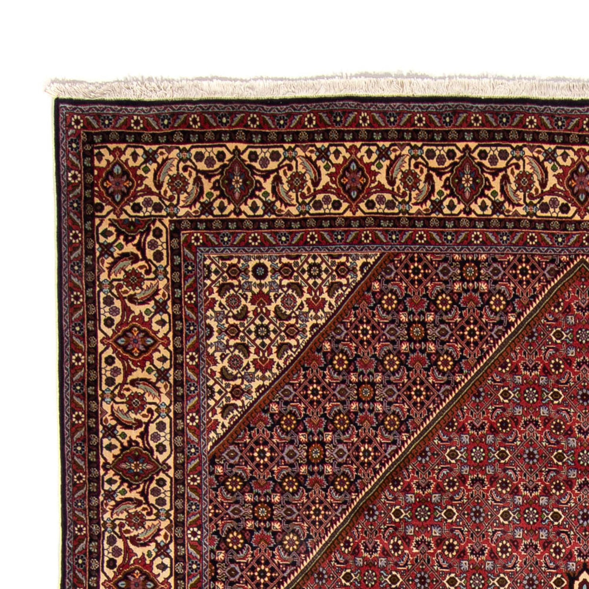 Bidjar Dywan 250x338cm - Dywan perski
