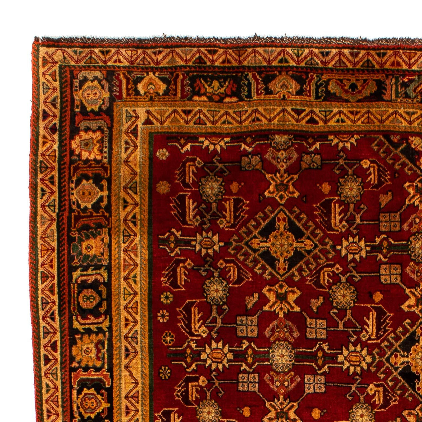 Shiraz Dywan 296x190cm - Dywan perski