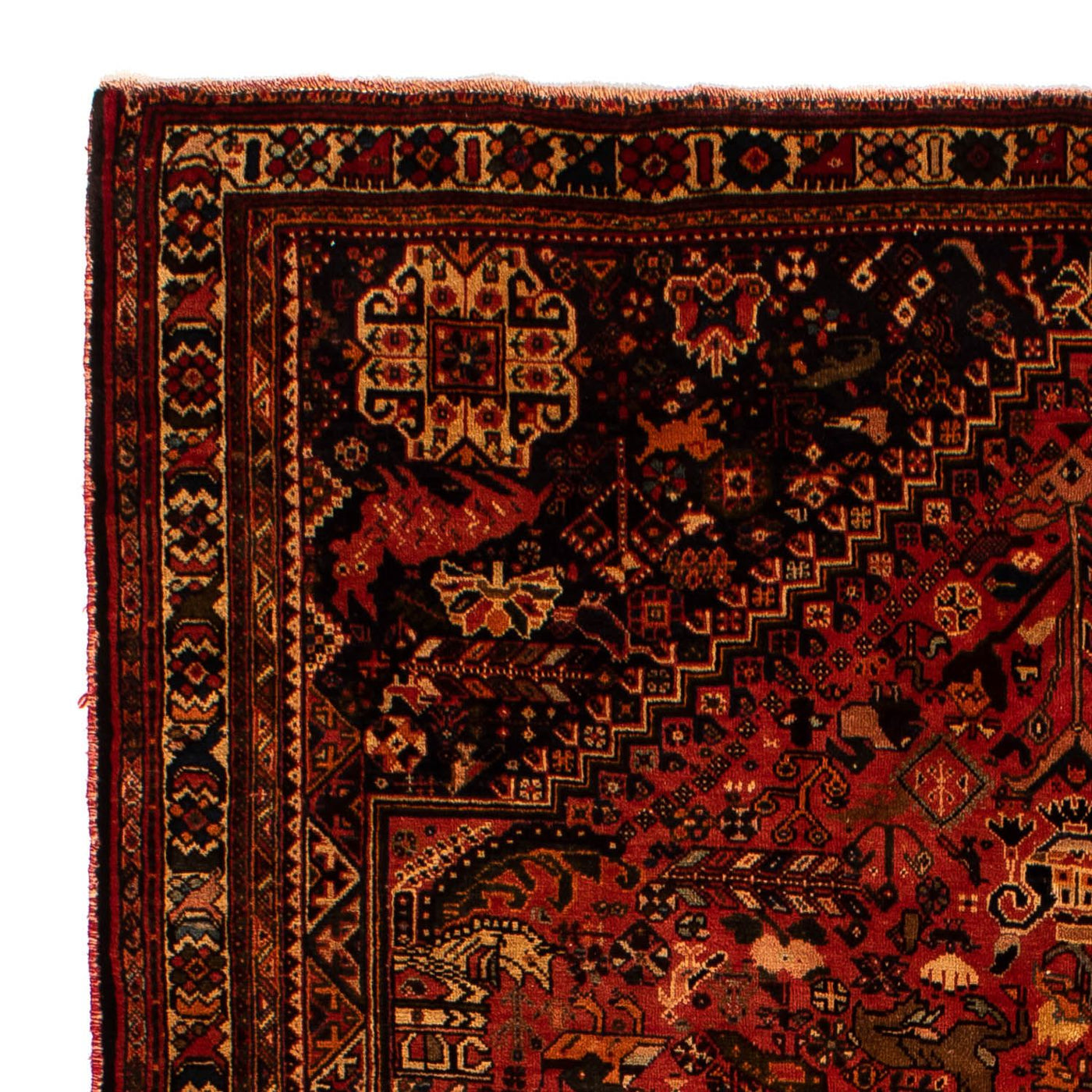 Shiraz Dywan 268x205cm - Dywan perski