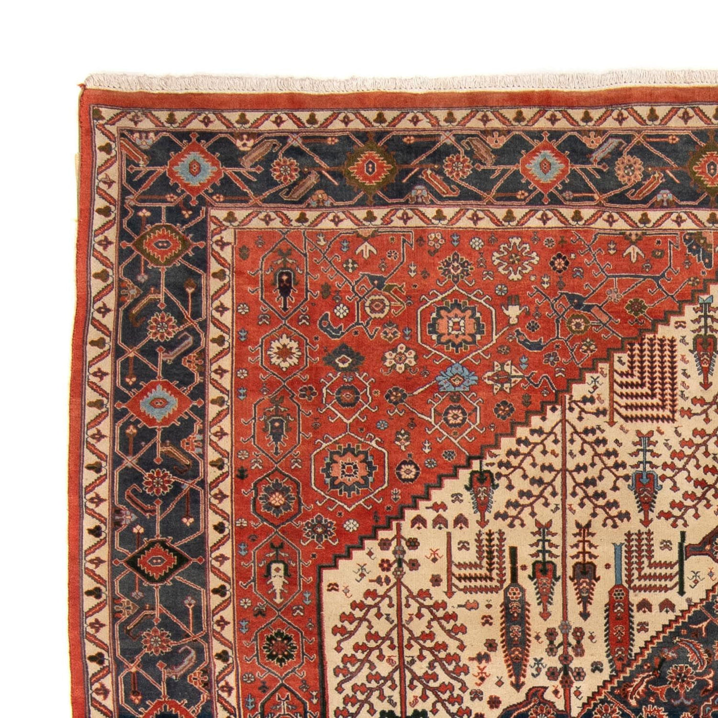 Kaschkuli Dywan 258x230cm - Dywan perski