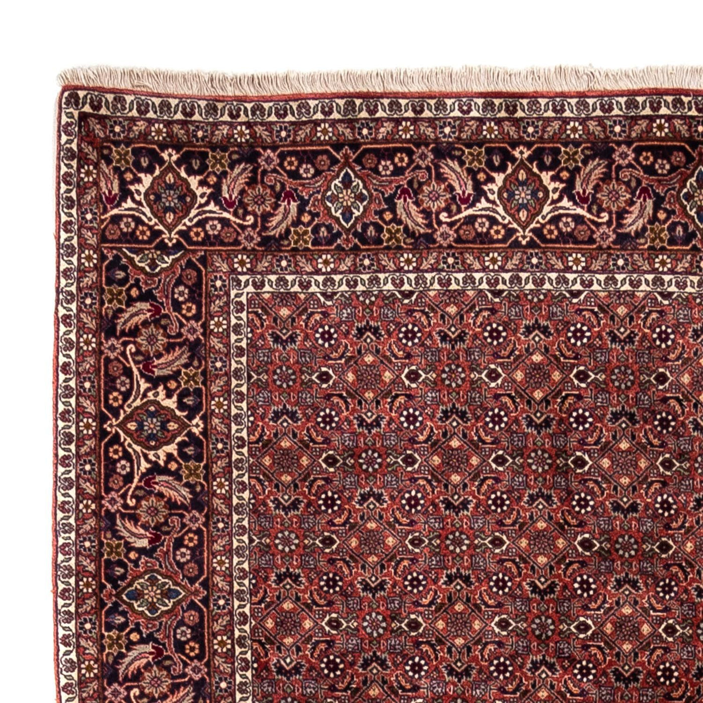Bidjar - Takab Dywan 293x200cm - Dywan perski