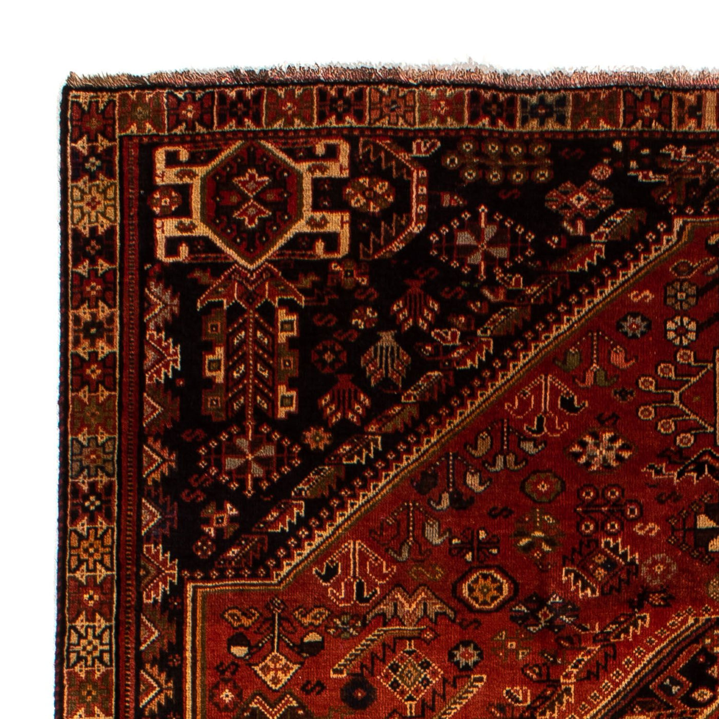 Shiraz Dywan 290x185cm - Dywan perski