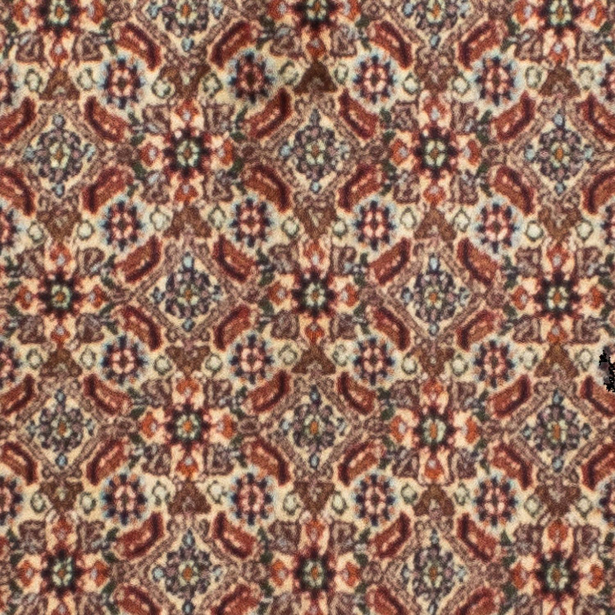 Biegacz Dywan perski - Klasyczny - 246 x 80 cm - beżowy