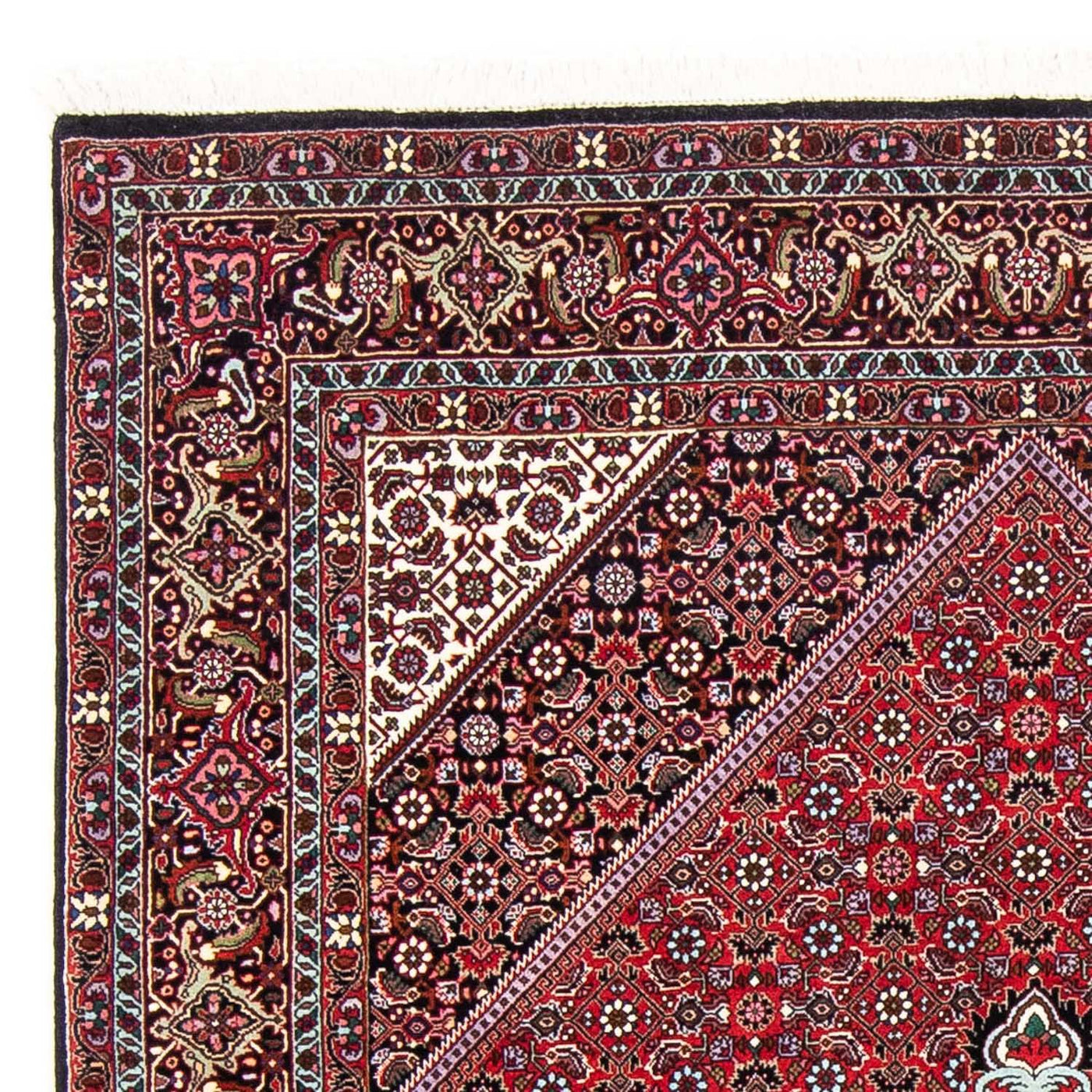 Bidjar Dywan 250x149cm - Dywan perski