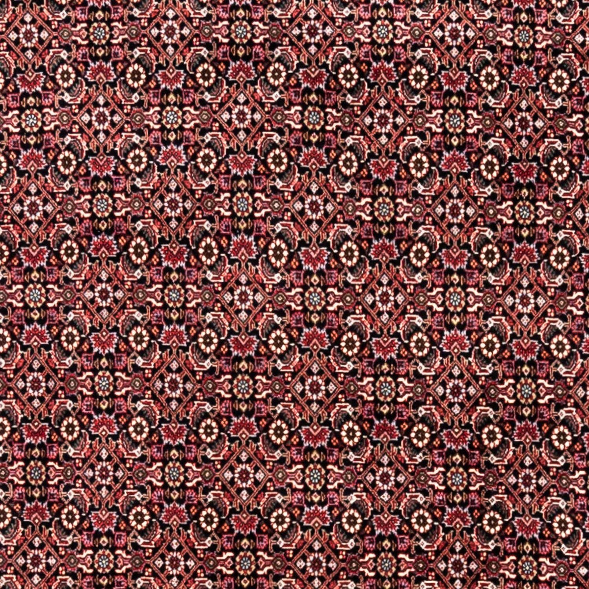 Perski dywan - Bijar - Royal - 345 x 246 cm - czerwony
