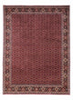 Bidjar - Takab Dywan 349x250cm - Dywan perski