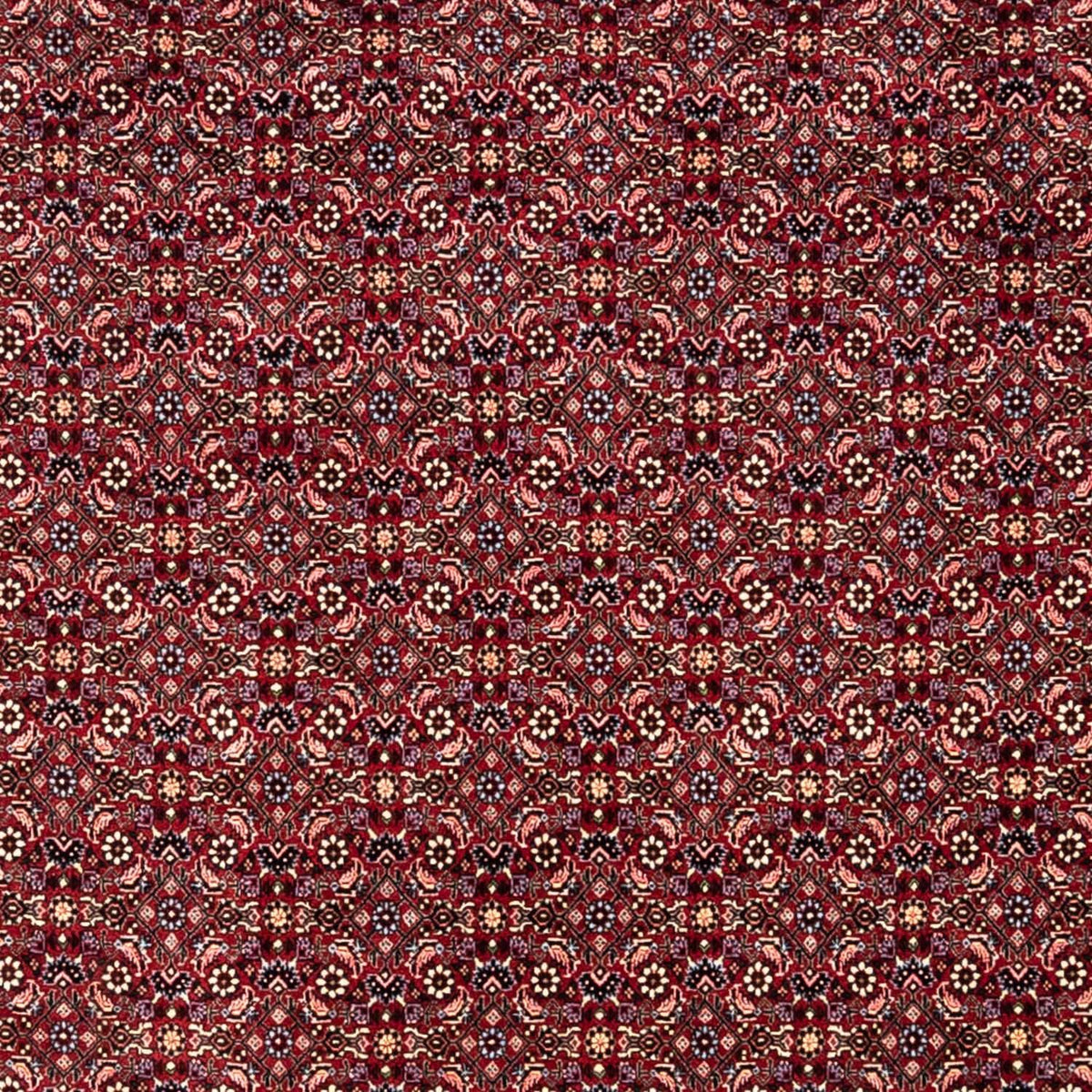Perski dywan - Bijar - Royal - 349 x 250 cm - czerwony