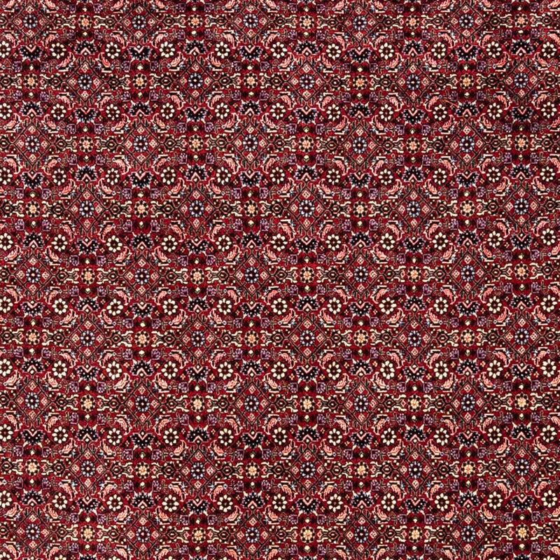 Perski dywan - Bijar - Royal - 349 x 250 cm - czerwony