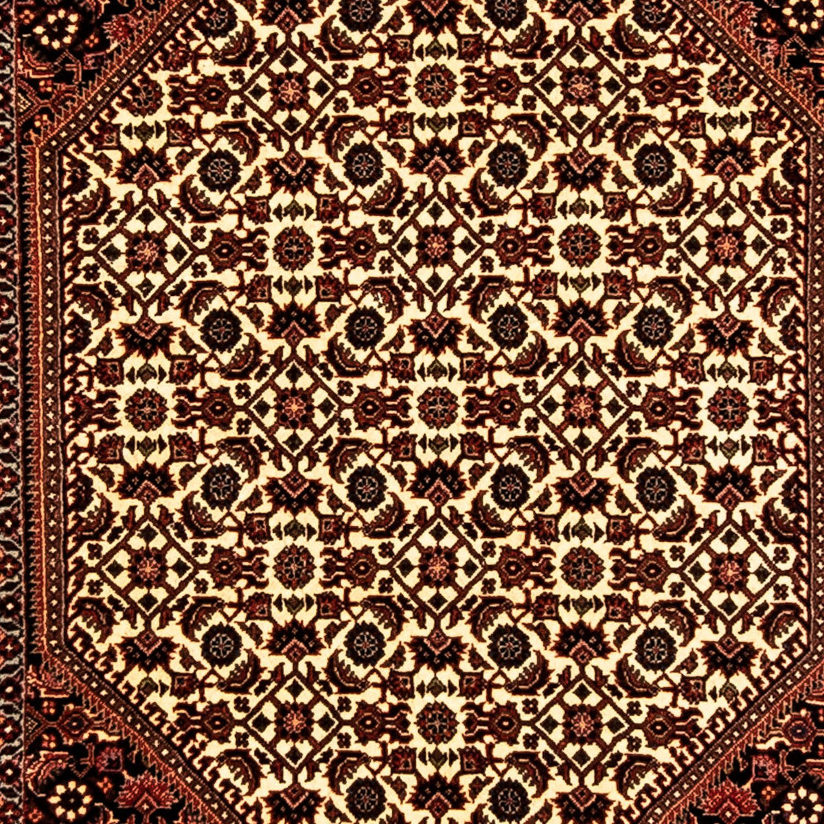 Biegacz Dywan perski - Bijar - 316 x 81 cm - wielokolorowy