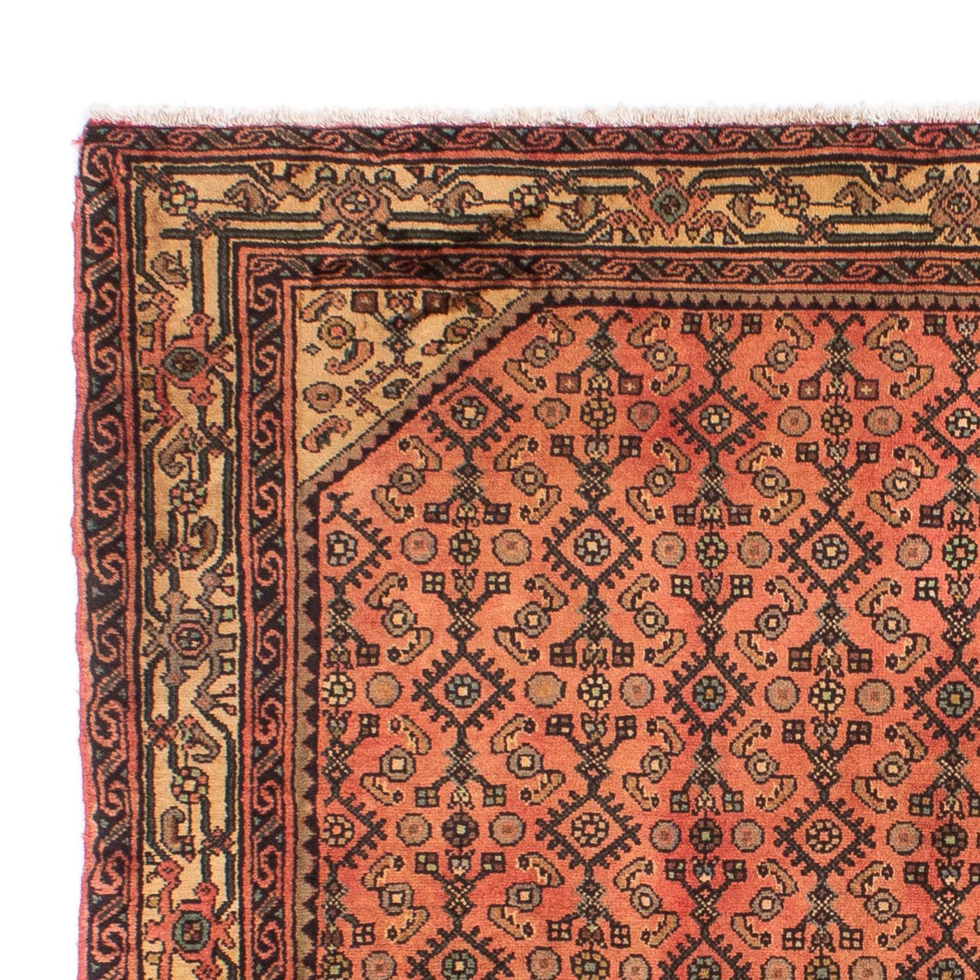 Hosseinabad Dywan 200x155cm - Dywan perski