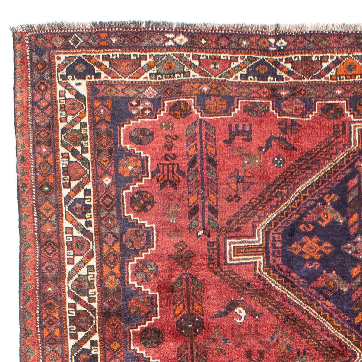 Shiraz Dywan 201x287cm - Dywan perski