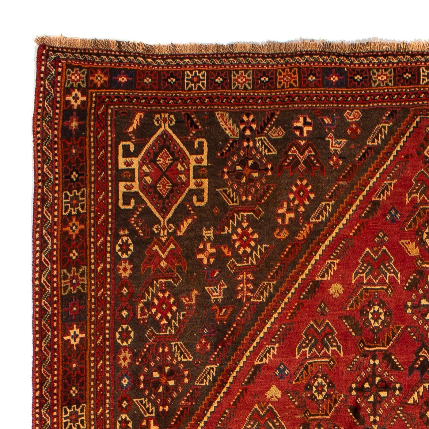 Shiraz Dywan 277x181cm - Dywan perski